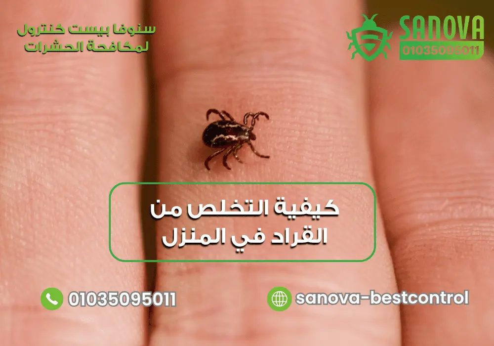 اضرار قراد الكلاب على الإنسان مع سنوفا بست كنترول 01035095011