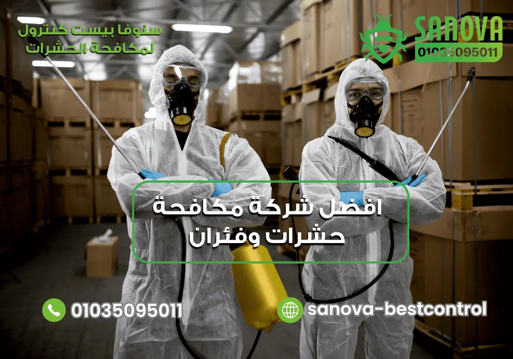 افضل شركة مكافحة حشرات وفئران لخدمة آمنة وفعالة
