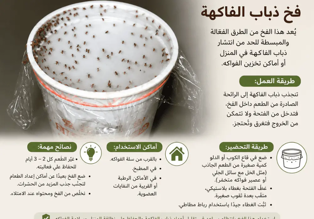 حل مشكلة الهاموش في المنزل مع سنوفا بست كنترول لمكافحة الحشرات