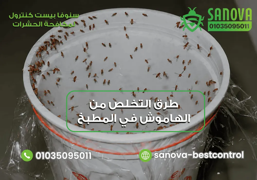 هل الهاموش يقرص وحل مشكلة الهاموش في المنزل 01035095011