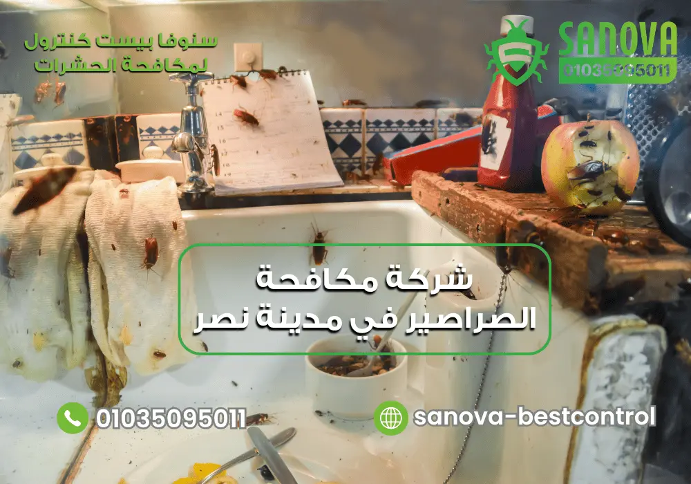 أفضل شركة مكافحة الصراصير في مدينة نصر مع سنوفا بست كنترول 01035095011
