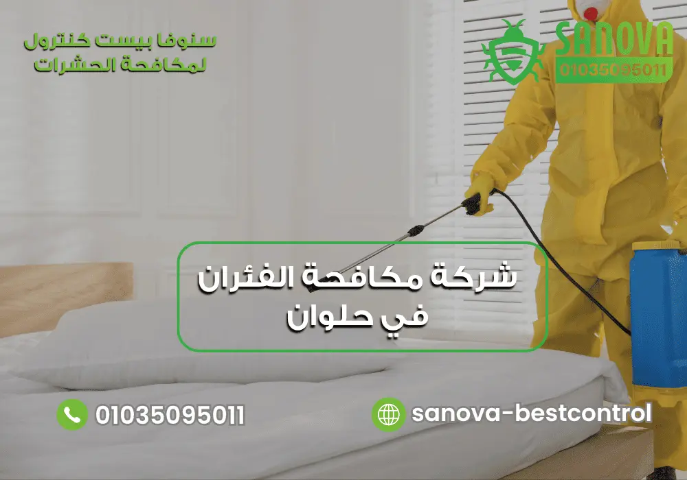 شركة مكافحة الفئران في حلوان | سنوفا 01035095011 أفضل شركة مكافحة الفئران في حلوان مع سنوفا بست كنترول 01035095011
