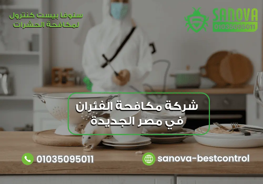 أفضل شركة مكافحة الفئران في مصر الجديدة مع سنوفا بست كنترول 01035095011