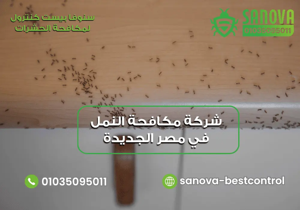 شركة مكافحة النمل في مصر الجديدة | سنوفا 01035095011 أفضل شركة مكافحة النمل في مصر الجديدة مع سنوفا بست كنترول 01035095011