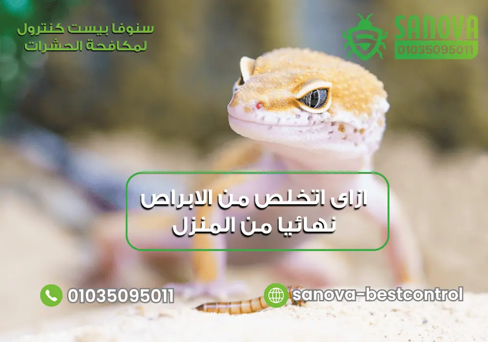 ازاى اتخلص من الابراص نهائيا بطرق آمنة | 01035095011