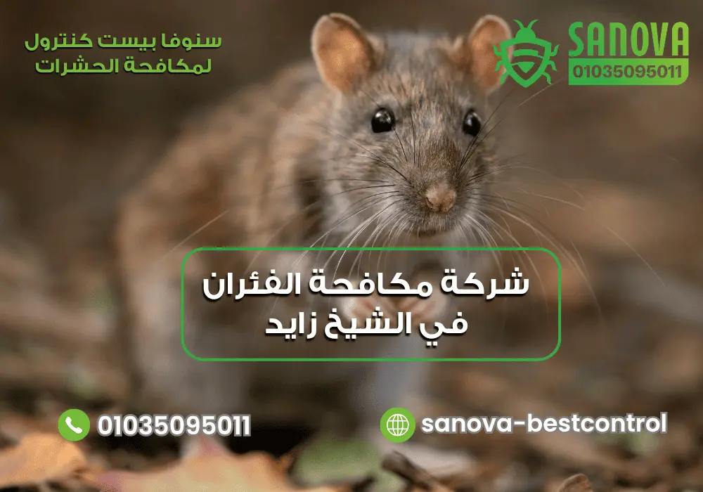 رقم شركة مكافحة الفئران في الشيخ زايد مع سنوفا بست كنترول 01035095011
