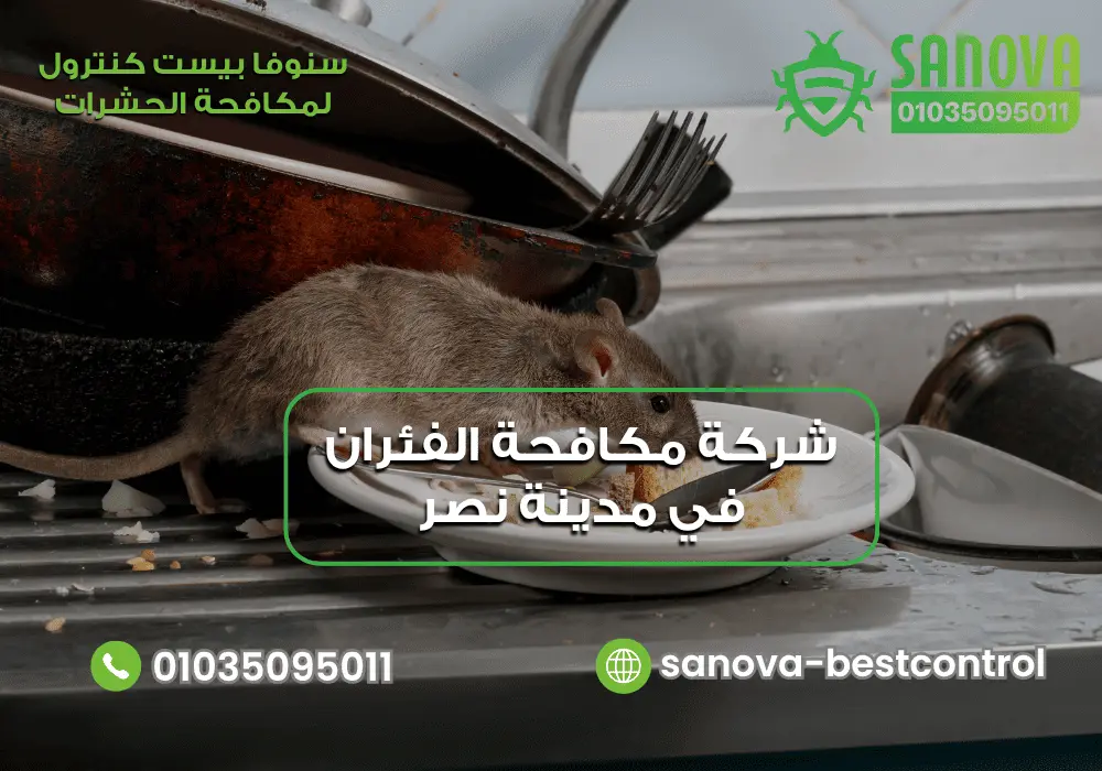 شركة مكافحة الفئران في مدينة نصر | سنوفا 01035095011