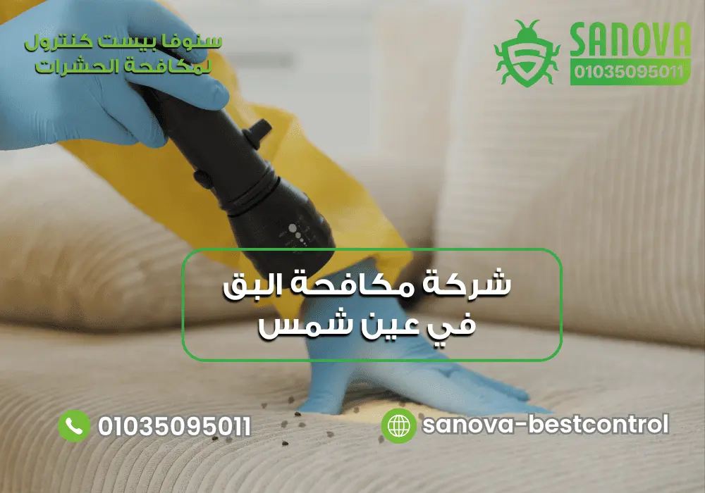 شركة رش البق في عين شمس مع سنوفا بست كنترول 01035095011
