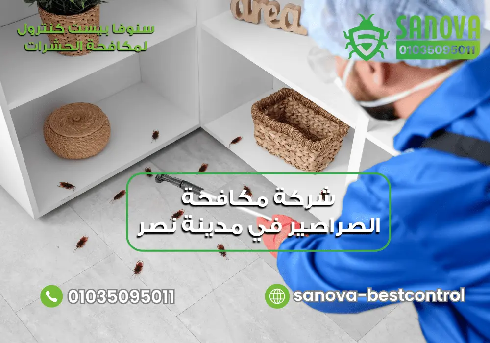 شركة مكافحة الصراصير في مدينة نصر | سنوفا 01035095011