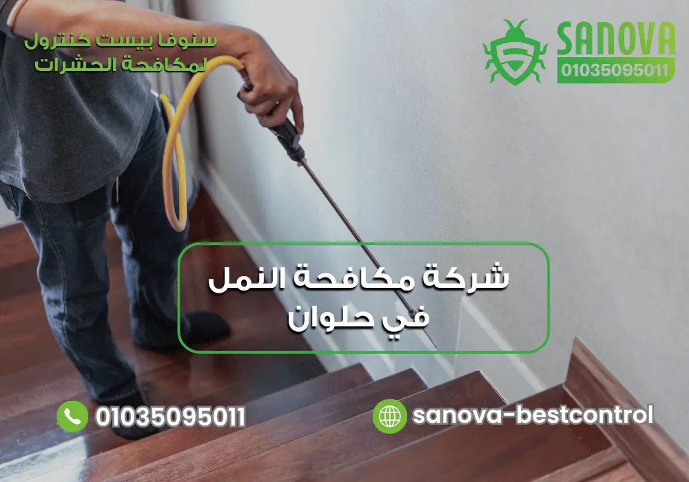 شركة مكافحة النمل في حلوان | سنوفا 01035095011 شركة رش النمل في حلوان مع سنوفا بست كنترول 01035095011