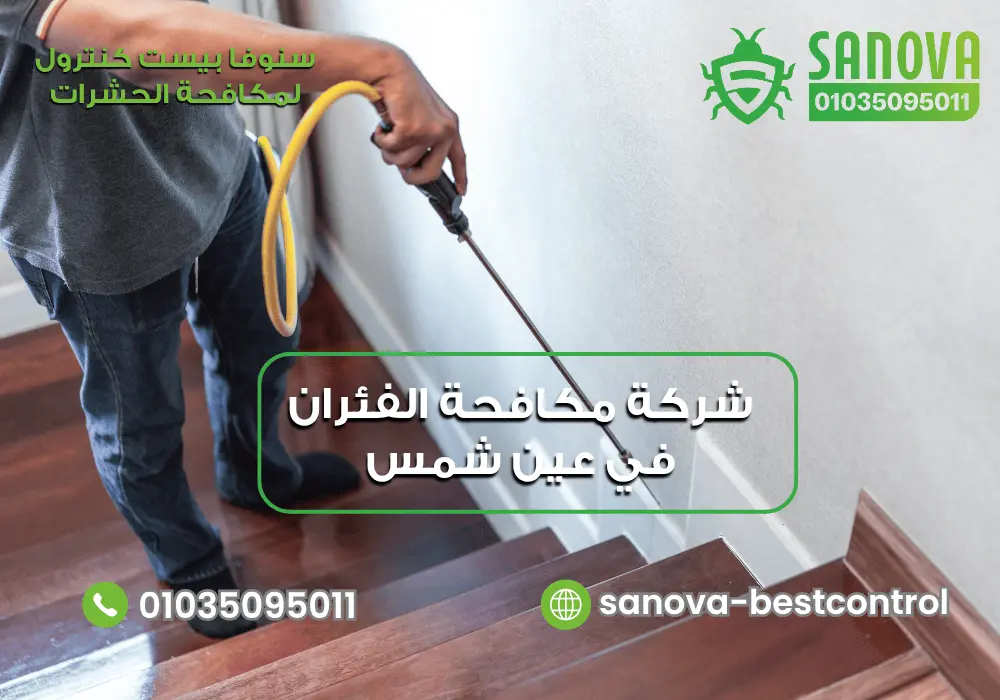 شركة رش النمل في عين شمس مع سنوفا بست كنترول 01035095011