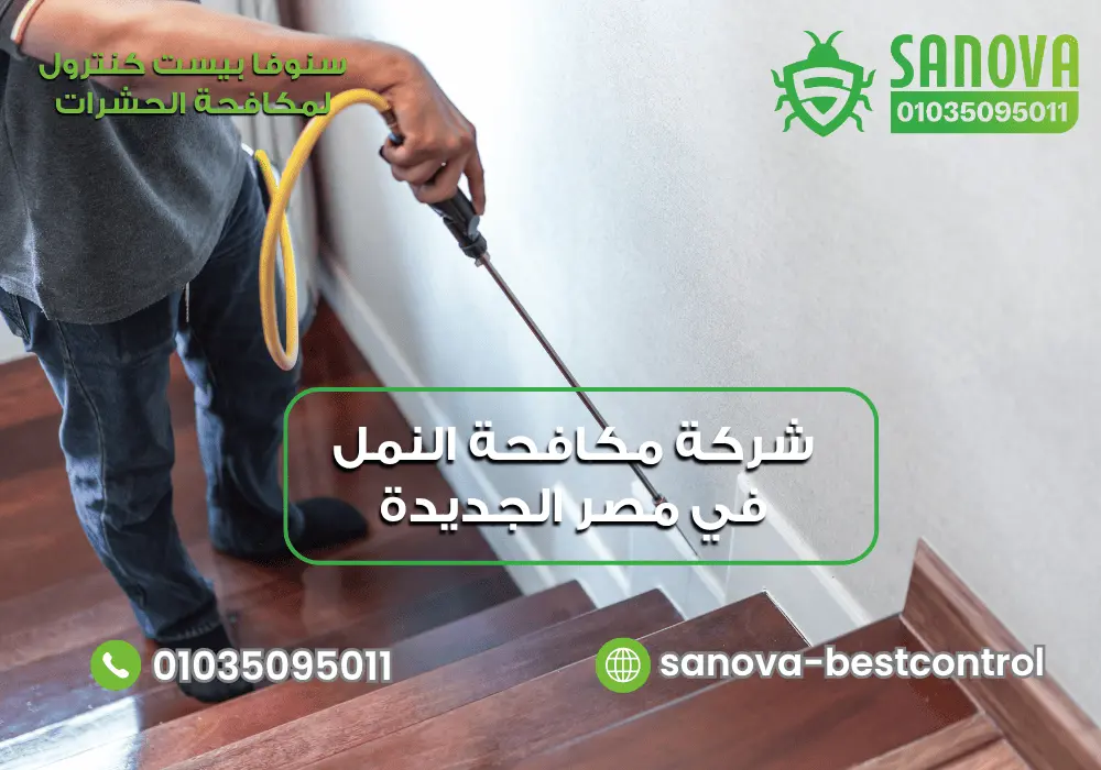 شركة مكافحة النمل في مصر الجديدة | سنوفا 01035095011 شركة رش النمل في مصر الجديدة مع سنوفا بست كنترول 01035095011