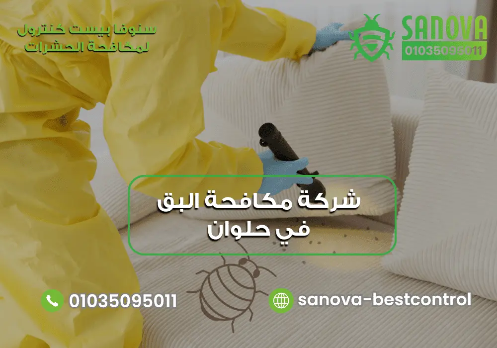 شركة مكافحة البق في حلوان سنوفا 01035095011