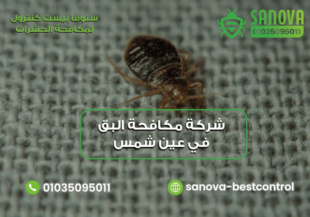 شركة مكافحة البق في عين شمس | سنوفا 01035095011 شركة مكافحة البق في عين شمس مع سنوفا بست كنترول 01035095011