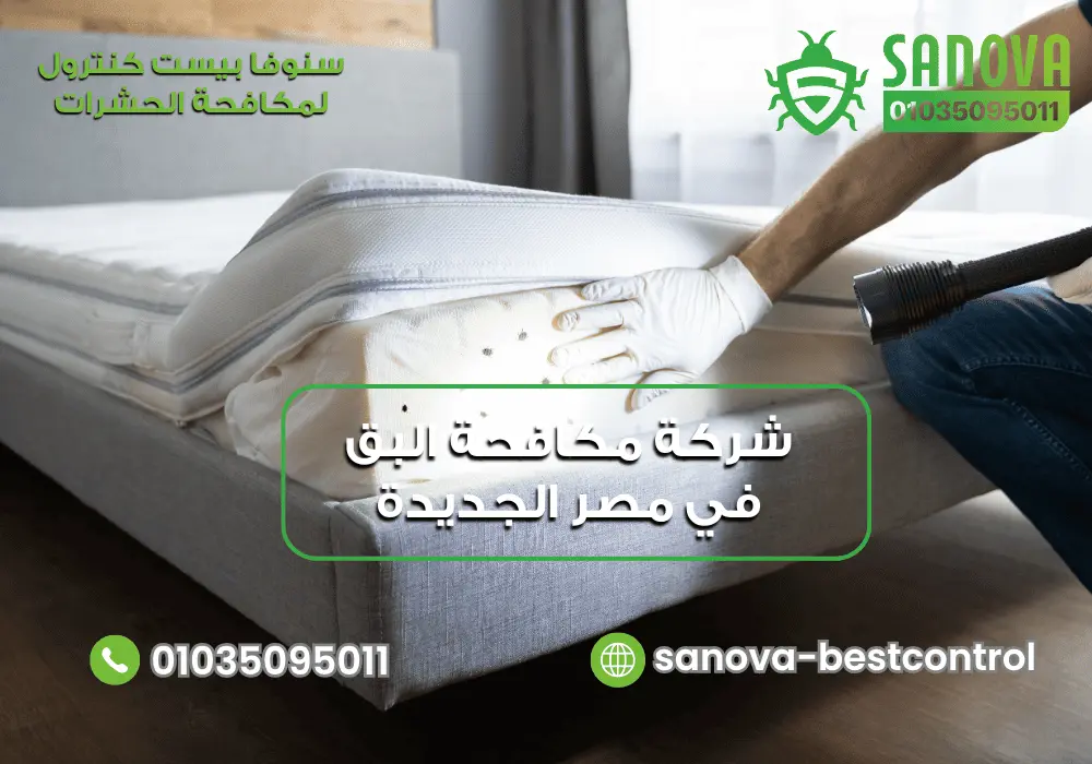 شركة مكافحة البق في مصر الجديدة | سنوفا 01035095011