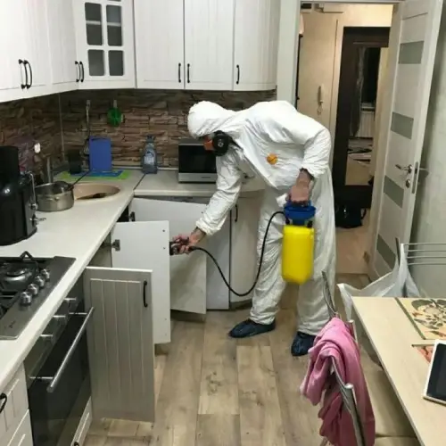 شركة مكافحة الصراصير وإبادة الحشرات 01035095011