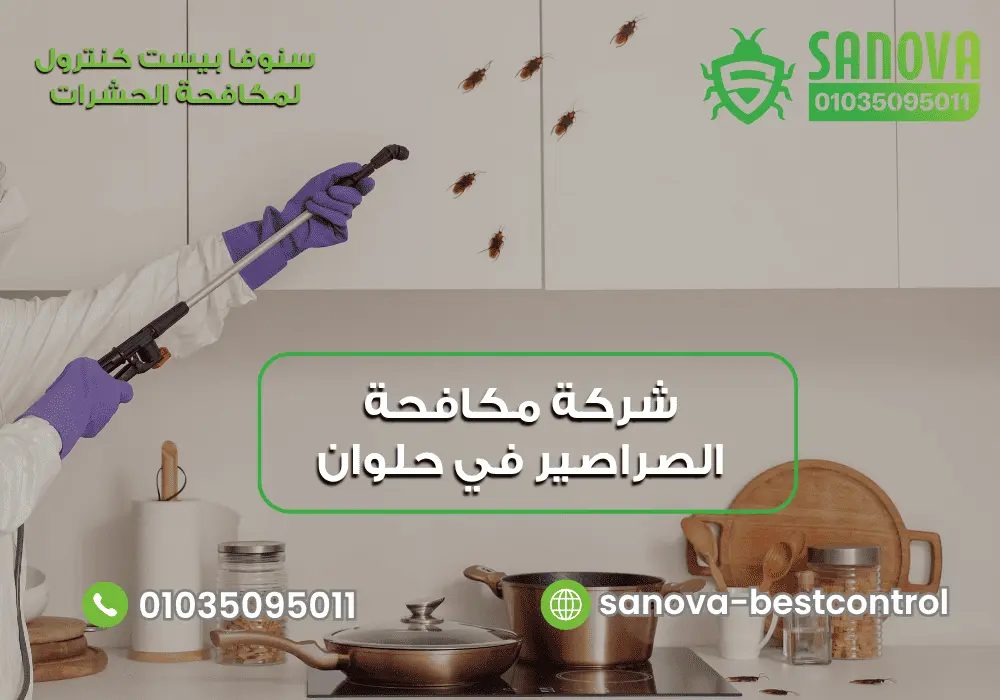 شركة مكافحة الصراصير في حلوان | سنوفا 01035095011