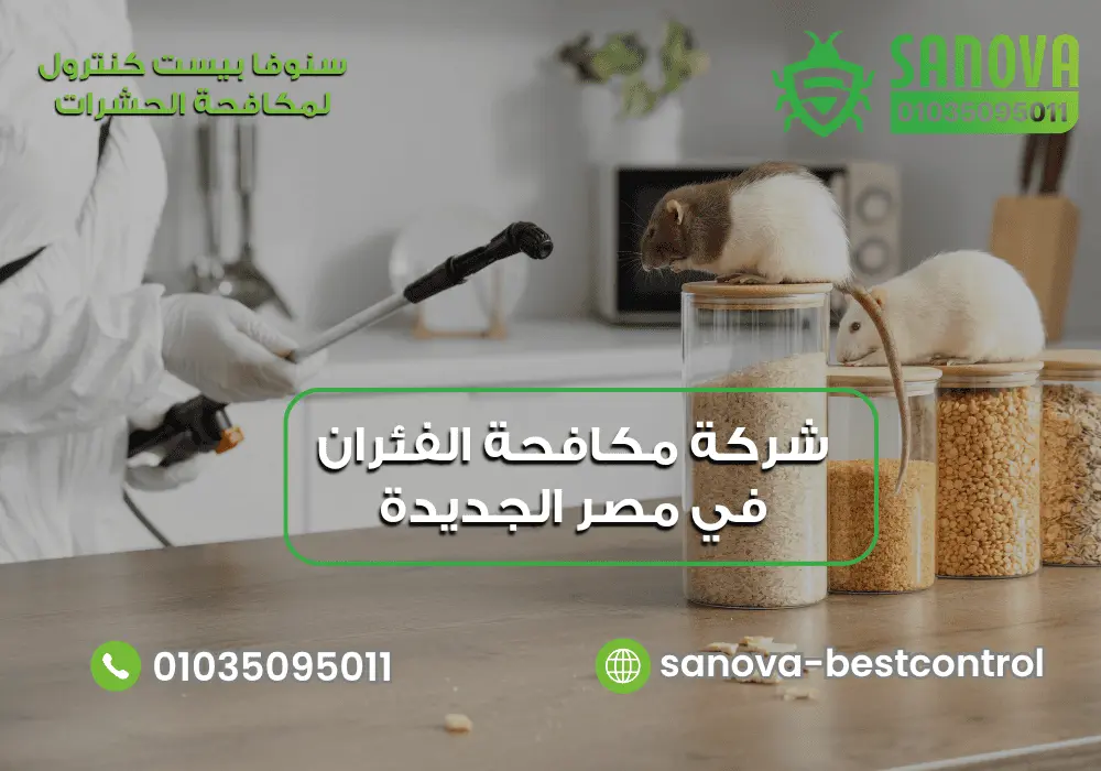 شركة مكافحة الفئران في مصر الجديدة | سنوفا 01035095011