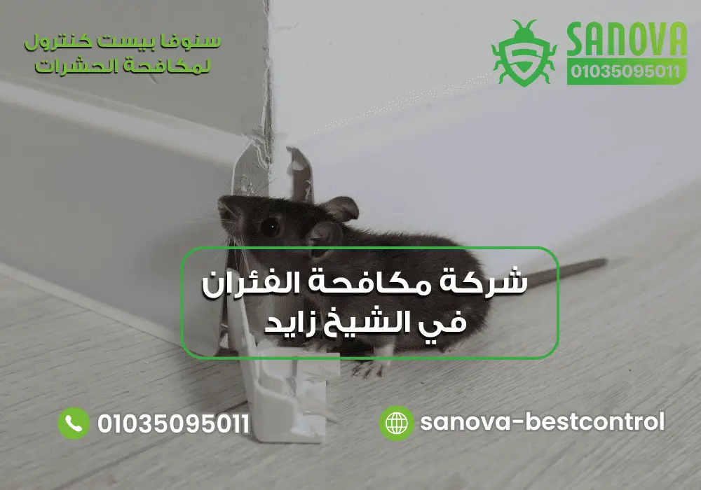 شركة مكافحة القوارض في الشيخ زايد مع سنوفا بست كنترول 01035095011
