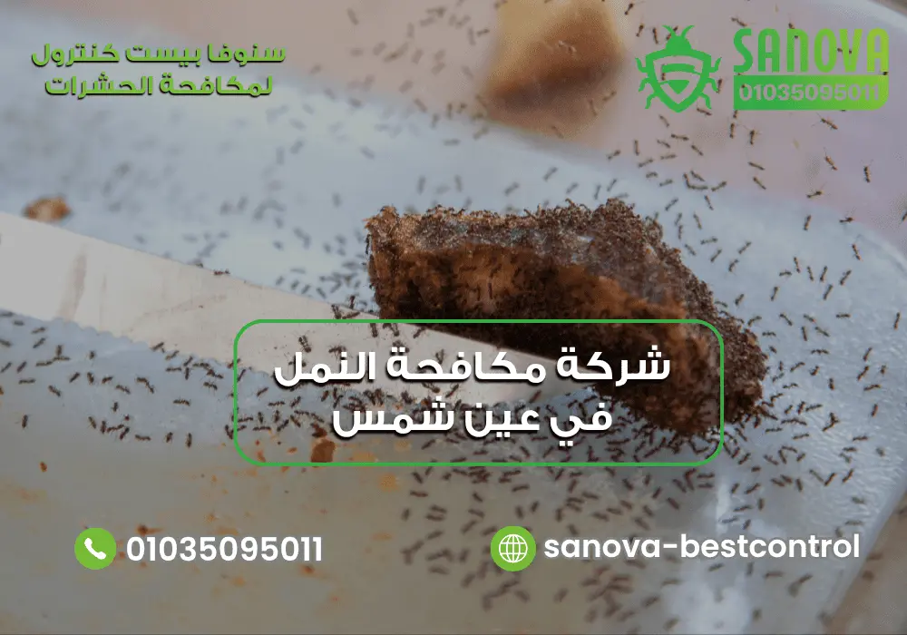 شركة مكافحة النمل في عين شمس مع سنوفا بست كنترول 01035095011