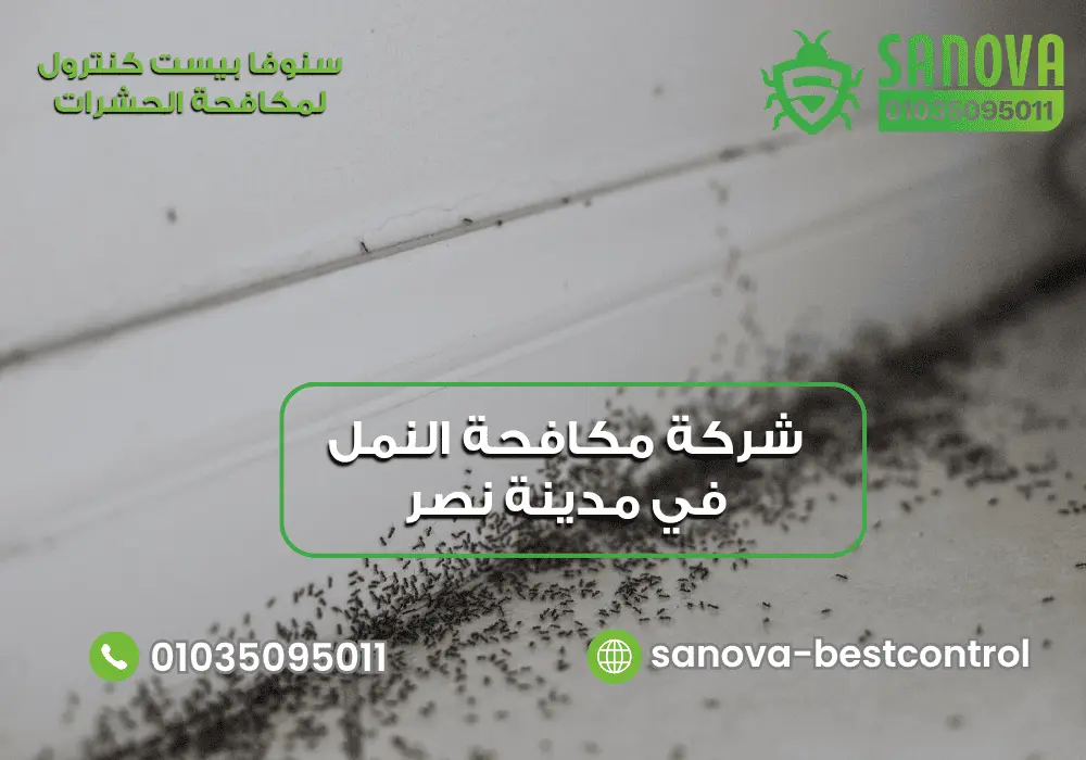 شركة مكافحة النمل في مدينة نصر | سنوفا 01035095011 شركة مكافحة النمل في مدينة نصر مع سنوفا بست كنترول 01035095011