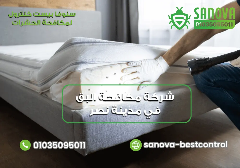 شركة مكافحة البق في مدينة نصر | سنوفا 01035095011