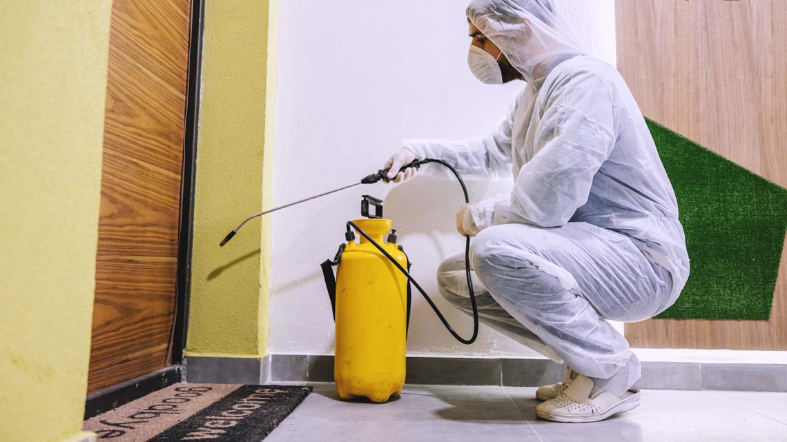 شركة مكافحة فئران وقوارض بمصر 01035095011