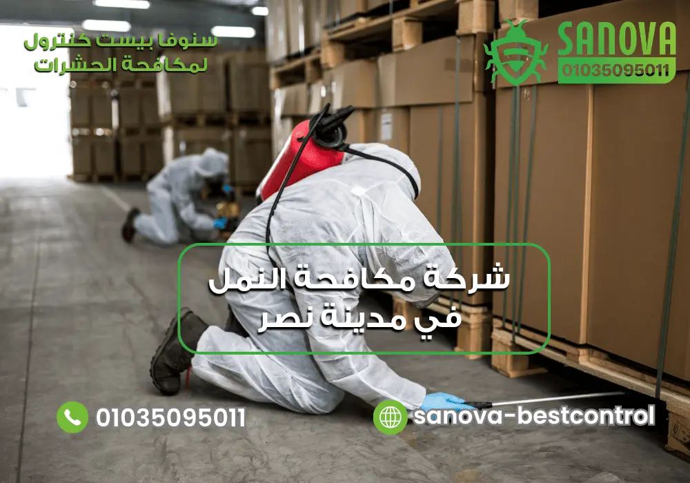 شركة مكافحة النمل في مدينة نصر | سنوفا 01035095011 مكافحة النمل في مدينة نصر مع سنوفا بست كنترول 01035095011