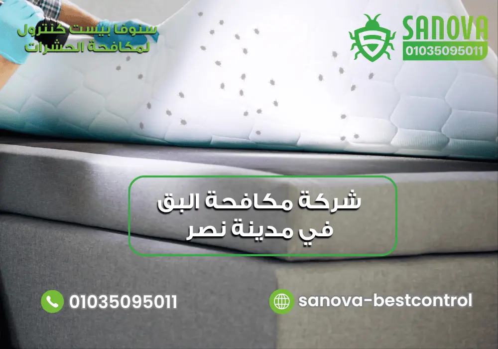 شركة مكافحة البق في مدينة نصر | سنوفا 01035095011 مكافحة بق الفراش في مدينة نصر مع سنوفا بست كنترول 01035095011