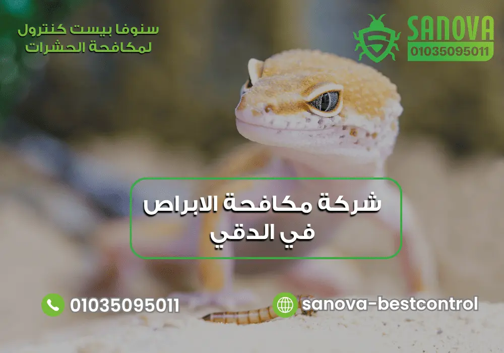 شركة مكافحة الابراص في الدقي | سنوفا 01035095011