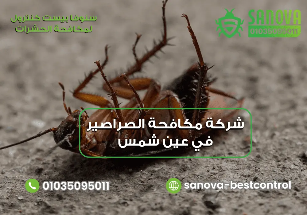 أفضل شركة مكافحة الصراصير في عين شمس مع سنوفا بست كنترول 01035095011