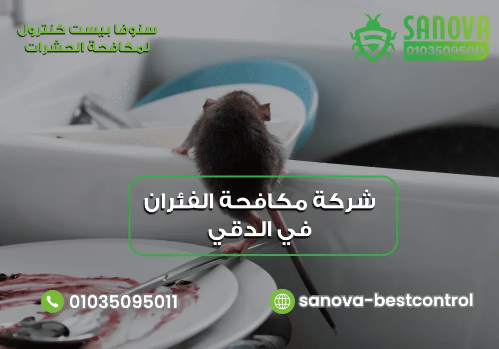 أفضل شركة مكافحة الفئران في الدقي مع سنوفا بست كنترول 01035095011
