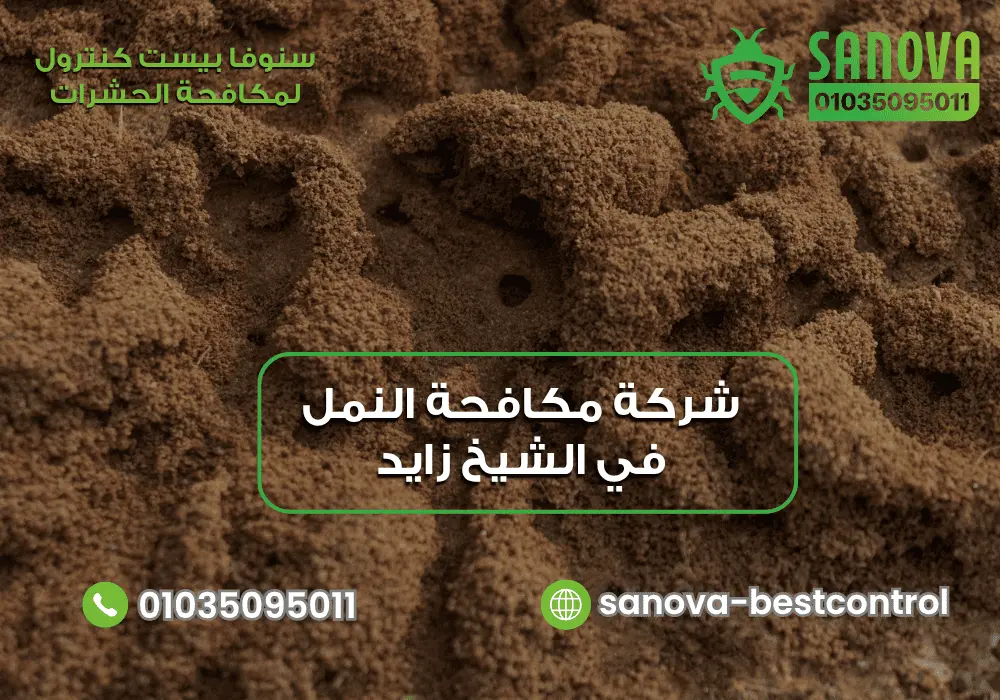 إبادة مستعمرات النمل داخل المنزل مع سنوفا بست كنترول 01035095011
