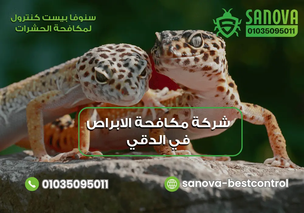 شركة مكافحة الابراص في الدقي | سنوفا 01035095011 رقم شركة مكافحة الابراص في الدقي مع سنوفا بست كنترول 01035095011
