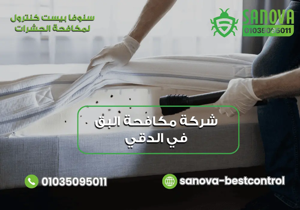 شركة مكافحة البق في الدقي | سنوفا 01035095011