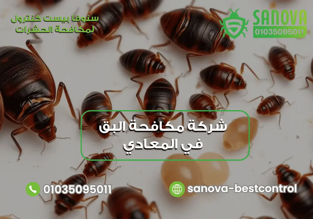 شركة مكافحة البق في المعادي | سنوفا 01035095011 رقم شركة مكافحة البق في المعادي مع سنوفا بست كنترول 01035095011