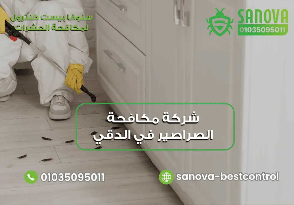 شركة مكافحة الصراصير في الدقي | سنوفا 01035095011