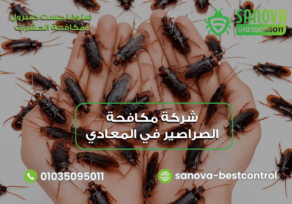 رقم شركة مكافحة الصراصير في المعادي مع سنوفا بست كنترول 01035095011