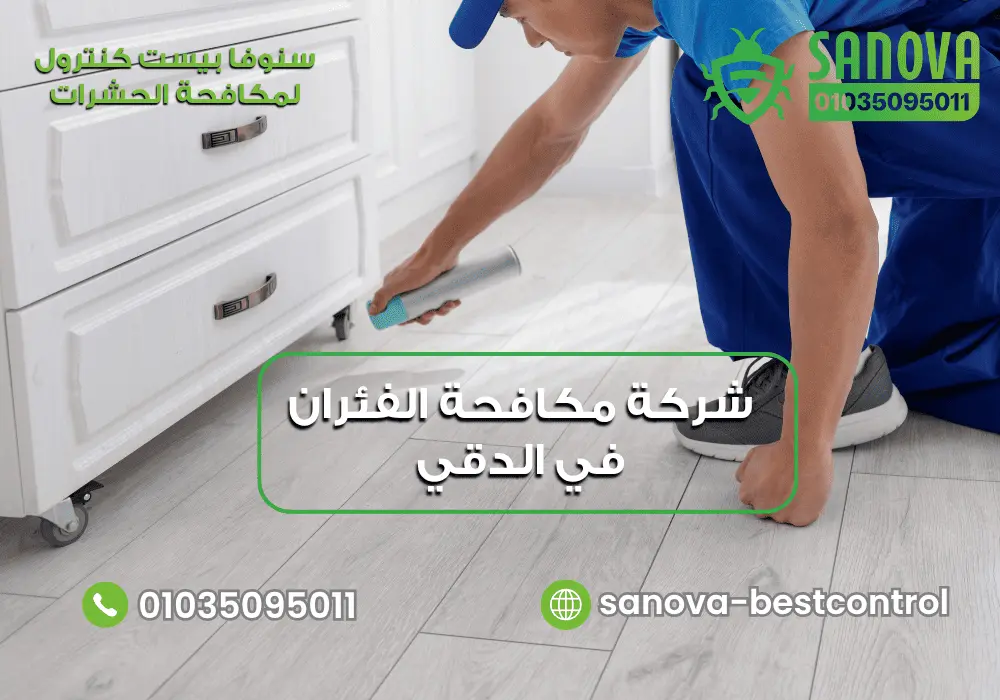 شركة مكافحة الفئران في الدقي | سنوفا 01035095011