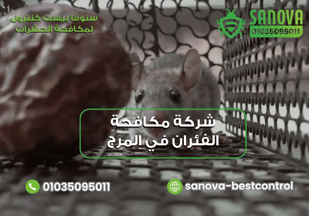 رقم شركة مكافحة الفئران في المرج مع سنوفا بست كنترول 01035095011