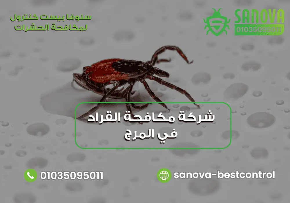 شركة مكافحة القراد في المرج | سنوفا 01035095011