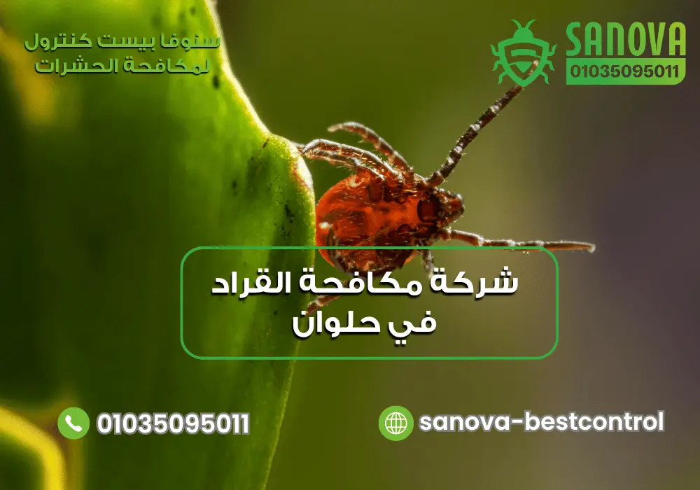 رقم شركة مكافحة القراد في حلوان سنوفا 01035095011
