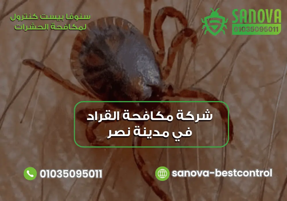 شركة مكافحة القراد في مدينة نصر 01035095011 رقم شركة مكافحة القراد في مدينة نصر مع سنوفا بست كنترول 01035095011