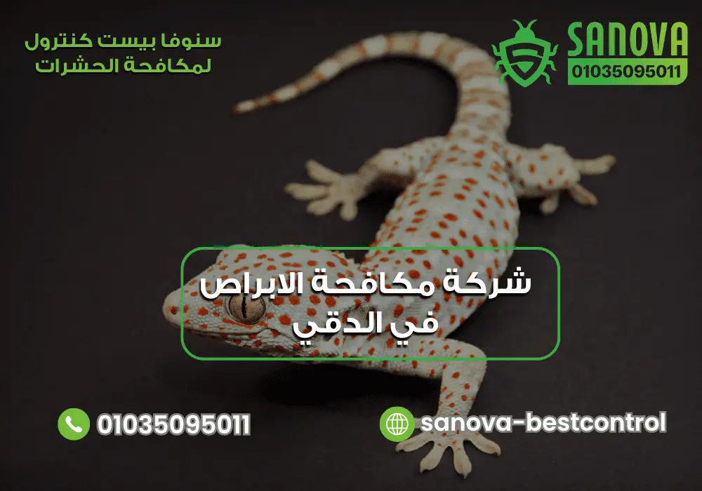 شركة مكافحة الابراص في الدقي | سنوفا 01035095011 شركة إبادة الابراص في الدقي مع سنوفا بست كنترول 01035095011