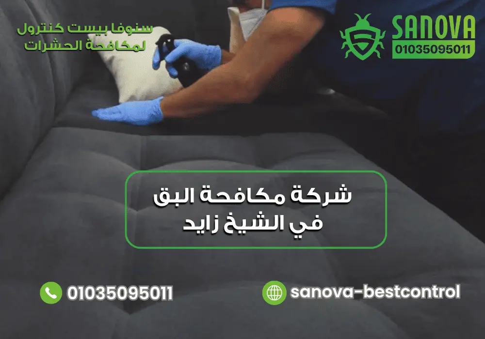 شركة مكافحة البق في الشيخ زايد | سنوفا 01035095011 شركة إبادة البق في الشيخ زايد مع سنوفا بست كنترول 01035095011