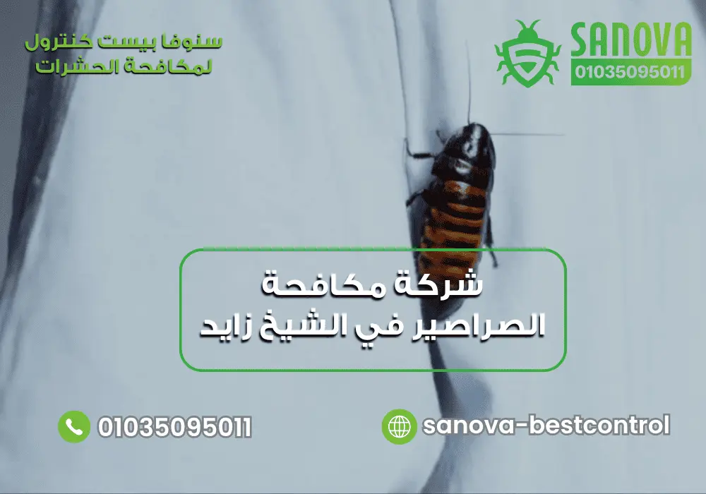 شركة إبادة الصراصير في الشيخ زايد مع سنوفا بست كنترول 01035095011
