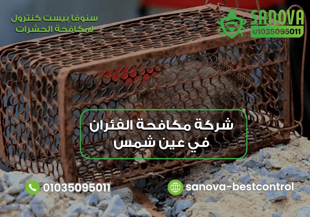 شركة مكافحة الفئران في عين شمس | سنوفا 01035095011 شركة إبادة الفئران في عين شمس مع سنوفا بست كنترول 01035095011