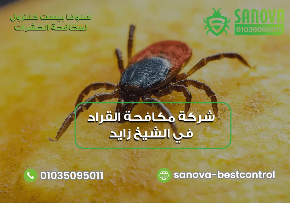 شركة مكافحة القراد في الشيخ زايد | سنوفا 01035095011 شركة إبادة القراد في الشيخ زايد سنوفا 01035095011