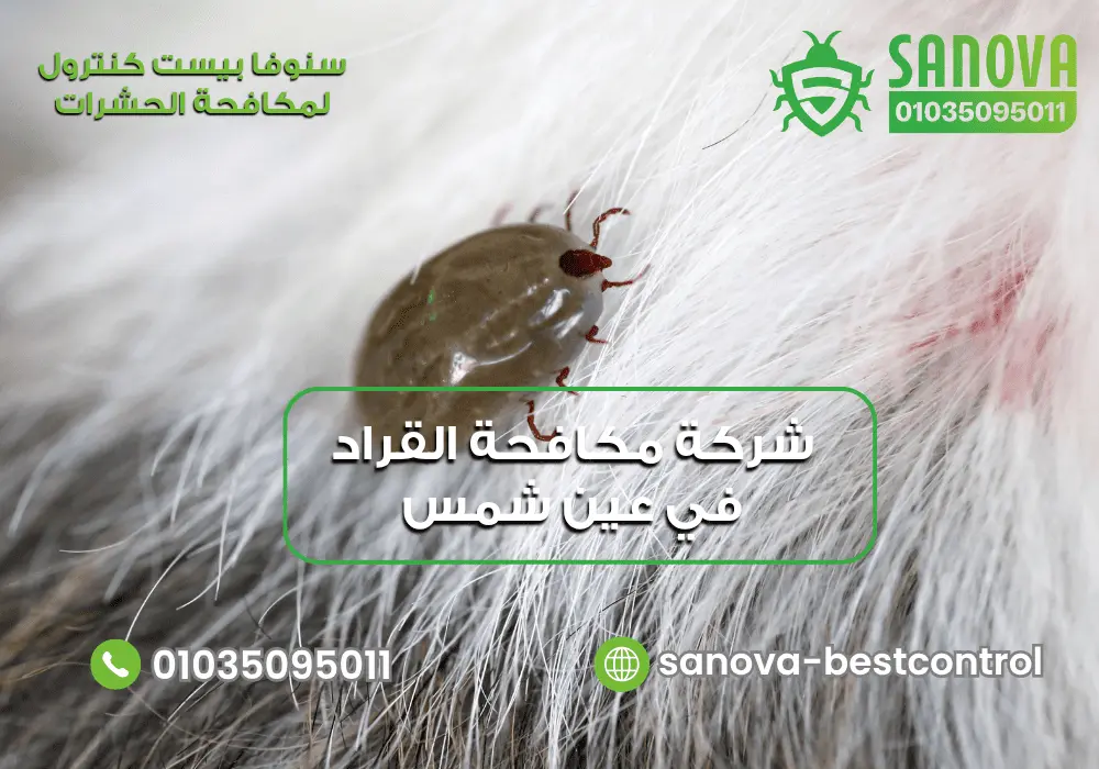 شركة إبادة القراد في عين شمس مع سنوفا بست كنترول 01035095011
