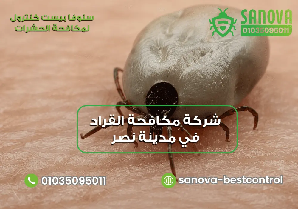 شركة مكافحة القراد في مدينة نصر 01035095011